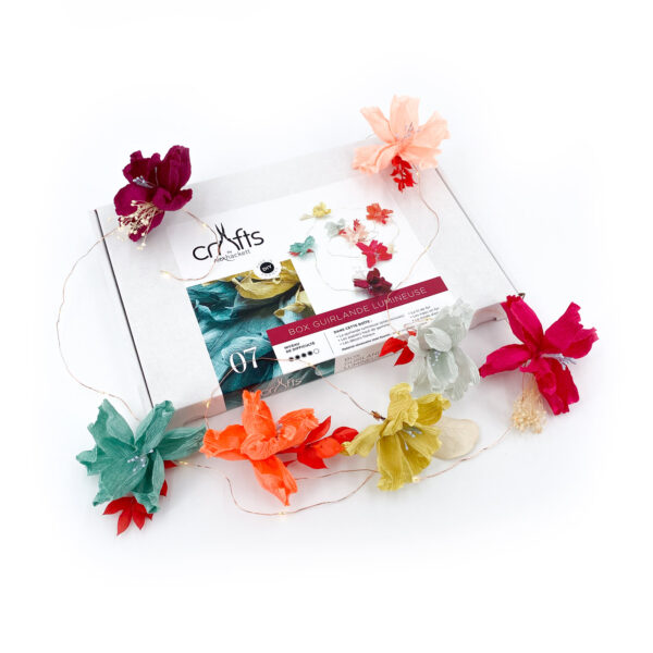 Box 07 / GUIRLANDE LUMINEUSE
